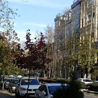 اجاره مغازه 170متری براصلی بلوارگیلان