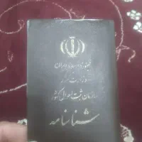 مدارک گم شده عباس بروایه
