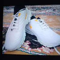 کالج پسرانه|کیف، کفش، کمربند|نیشابور, دارایی|دیوار