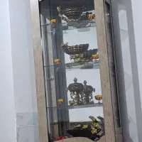 بوفه،ویترین