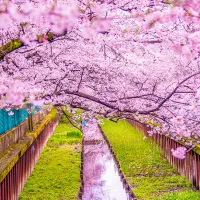 ۱۵۰ هزار تومن هدیه بگیرید