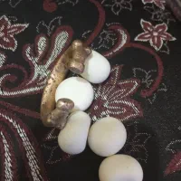 سنگ آسیاب|کلکسیون اشیاء عتیقه|باقرشهر, |دیوار