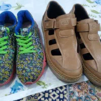 کفشها|کیف، کفش، کمربند|محمدشهر, محمدشهر|دیوار