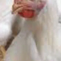 مرغداری ۲۰هزارتایی