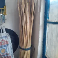نی فروس