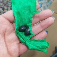 مهره هندی اصلی