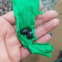 مهره هندی اصلی|جواهرات|بندر دیر, |دیوار