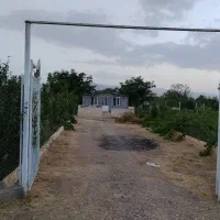 باغ-انگور-خونه-باغ-در-شهر-ابهر