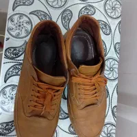 کفش مردانه|کیف، کفش، کمربند|بیرجند, |دیوار