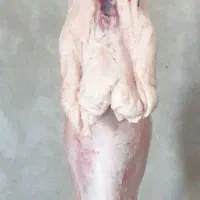 ذبح / قصابی / خورد کردن گوشت