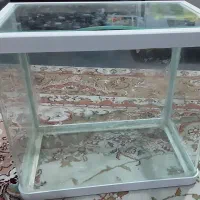 فروش فوری اکواریوم