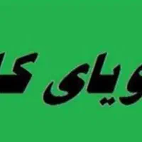 خانمم جویای کار