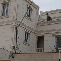 کاشی کار و سرامیک کار تعمیر وتخریب