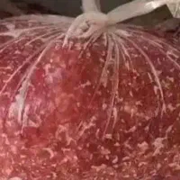 گوشت چرخ کرده نخودی