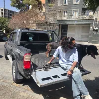 سرپرستی باغ نگهبانی کشاورزی باغداری