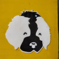 طراحی،چاپ،برش و حکاکی لیزر|خدمات پیشه و مهارت|پرند, فاز ۰|دیوار