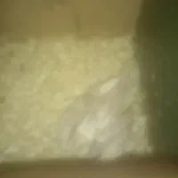 عروسی هلندی مولدهمراه جوجه|پرنده|زبرخان, |دیوار