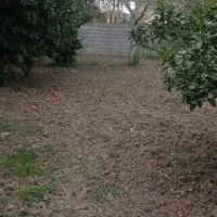 زمین مسکونی