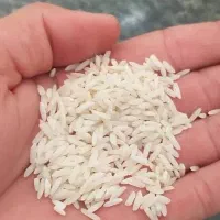 برنج اصل دورود درجه یک