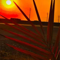 فرصت طلایی برای موفقیتت در کنکور و امتحانات نهایی