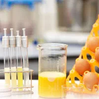 مسئول فنی آزمایشگاه صنایع غذایی