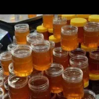عسل کندو پرورشی|خوردنی و آشامیدنی|اهواز, فولادشهر|دیوار