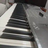 ارگ پیا تری