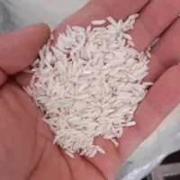 برنج هاشمی (آستانه اشرفیه)