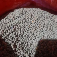 گاودانه خوراک دام