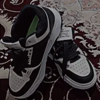 کتونی امیری|کیف، کفش، کمربند|بوئین و میاندشت, |دیوار