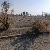 فروش زمین ۱۳۵ متری|فروش زمین و ملک کلنگی|مشکین‌دشت, |دیوار
