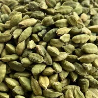 هل اکبر بنفش هندی|خوردنی و آشامیدنی|مشهد, شیرودی|دیوار