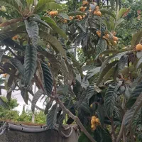 نگهبان کسی نیازمنده هست تماس بگیرد