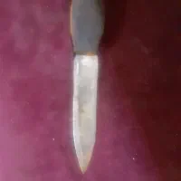 دو عدد سینی استیل و وچاقوی دولبه|ظروف پختوپز|تهران, طیب|دیوار