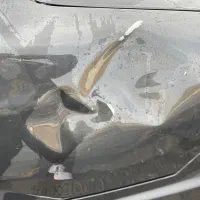 سورن ای اف سون