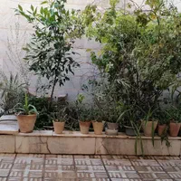 بدون پله باپارکینگ نزدیک مراکزدرمانی وپرتودرمانی|اجارهٔ کوتاه‌مدت آپارتمان و سوئیت|یزد, |دیوار