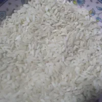 برنج‌کشت‌اول‌چمچمال