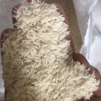 برنج فجر نود روزه