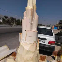بریدن نخل با اره بنزینی|خدمات باغبانی و درختکاری|جم, |دیوار