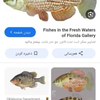 آکواریوم