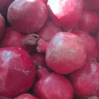 انار ابگیری|خوردنی و آشامیدنی|قم, آزادگان|دیوار