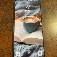 سامسونگ S 21 fe