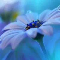 سیم کارت ۹۱۲ با کد ۰۲