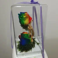 گل رز جاودان