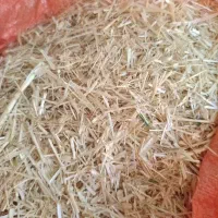 کاه گندم دیم کرمانشاه