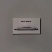 Magic mouse 2