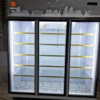 یخچال اکولایزر ایستاده دانفوس مس کاوردار تمدن