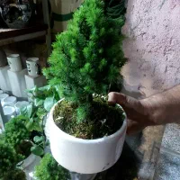 راهنمایی