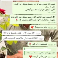 ترک انواع مخدر بدون بستری و اذیت /مشاوره رایگان|خدمات آرایشگری و زیبایی|آباده, |دیوار