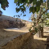 فروش زمین ۲۵۶  متری / قابل ساخت با امکانات کامل|فروش زمین و ملک کلنگی|آسارا, |دیوار